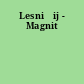 Lesničij - Magnit