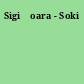 Sigišoara - Soki