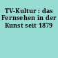 TV-Kultur : das Fernsehen in der Kunst seit 1879