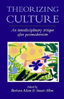 Theorizing culture : an interdisziplinary critique after postmodernism