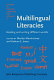 Multilingual literacies : reading and writing different worlds