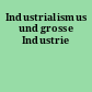 Industrialismus und grosse Industrie