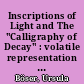 Inscriptions of Light and The "Calligraphy of Decay" : volatile representation in Bill Morrison's Decasia