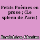 Petits Poèmes en prose ; (Le spleen de Paris)