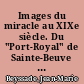Images du miracle au XIXe siècle. Du "Port-Royal" de Sainte-Beuve au "Lourdes" de Zola