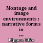 Montage and image environments : narrative forms in contemporary video art