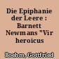 Die Epiphanie der Leere : Barnett Newmans "Vir heroicus sublimis"