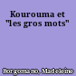 Kourouma et "les gros mots"