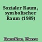 Sozialer Raum, symbolischer Raum (1989)