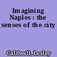 Imagining Naples : the senses of the city