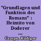 "Grundlagen und Funktion des Romans" : Heimito von Doderer and the theory of the novel