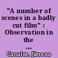 "A number of scenes in a badly cut film" : Observation in the age of Strobe
