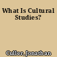 What Is Cultural Studies?