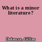 What is a minor literature?