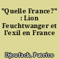 "Quelle France?" : Lion Feuchtwanger et l'exil en France