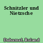 Schnitzler und Nietzsche