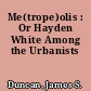 Me(trope)olis : Or Hayden White Among the Urbanists