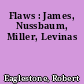 Flaws : James, Nussbaum, Miller, Levinas