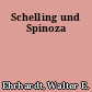 Schelling und Spinoza