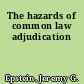 The hazards of common law adjudication