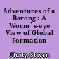 Adventures of a Barong : A Worm`s-eye View of Global Formation