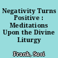 Negativity Turns Positive : Meditations Upon the Divine Liturgy