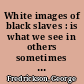 White images of black slaves : is what we see in others sometimes a reflection of what we find in ourselves?