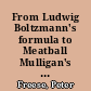 From Ludwig Boltzmann's formula to Meatball Mulligan's party : or how to fictionalize the entropy law