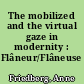 The mobilized and the virtual gaze in modernity : Flâneur/Flâneuse