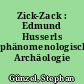 Zick-Zack : Edmund Husserls phänomenologische Archäologie
