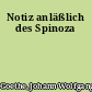 Notiz anläßlich des Spinoza