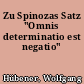 Zu Spinozas Satz "Omnis determinatio est negatio"