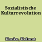 Sozialistische Kulturrevolution