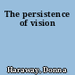 The persistence of vision