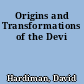 Origins and Transformations of the Devi