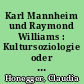 Karl Mannheim und Raymond Williams : Kultursoziologie oder Cultural Studies?