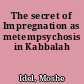 The secret of Impregnation as metempsychosis in Kabbalah