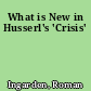 What is New in Husserl's 'Crisis'