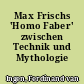 Max Frischs 'Homo Faber' zwischen Technik und Mythologie