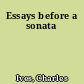 Essays before a sonata