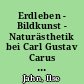 Erdleben - Bildkunst - Naturästhetik bei Carl Gustav Carus (1789 - 1869)