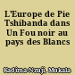 L'Europe de Pie Tshibanda dans Un Fou noir au pays des Blancs