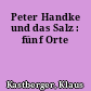 Peter Handke und das Salz : fünf Orte