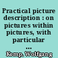 Practical picture description : on pictures within pictures, with particular reference to van Eyck and Mantegna