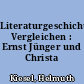 Literaturgeschichtliches Vergleichen : Ernst Jünger und Christa Wolf