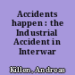 Accidents happen : the Industrial Accident in Interwar Germany