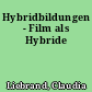 Hybridbildungen - Film als Hybride