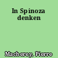 In Spinoza denken