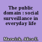 The public domain : social surveillance in everyday life