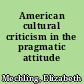 American cultural criticism in the pragmatic attitude
